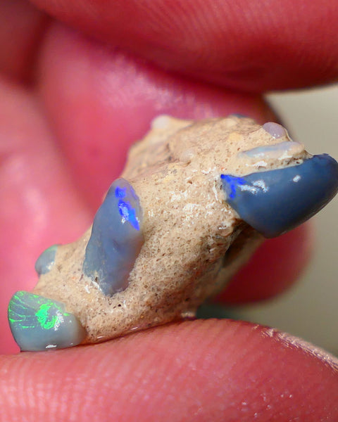 Lightning Ridge Amazing unique Seam opal formation rough 20.00cts Wow Amazing combination of various opal formations in one. Bright Multicolours 21x20x10mm Auciton184