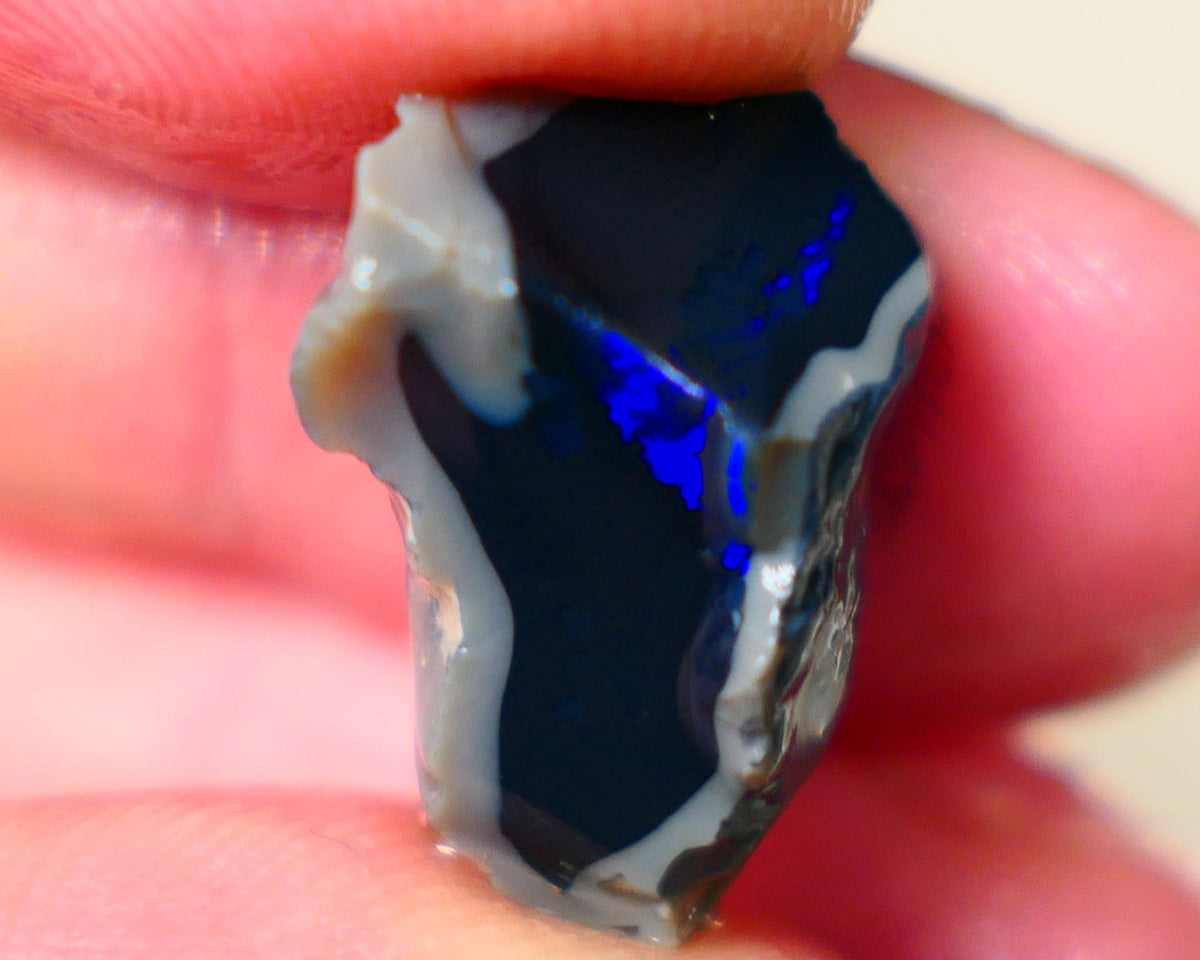 Lightning Ridge Jet Black N1 base seam opal rough 13.75cts Grogeous Vibrant Bright Royal Blues 20x14x13mm Auction185