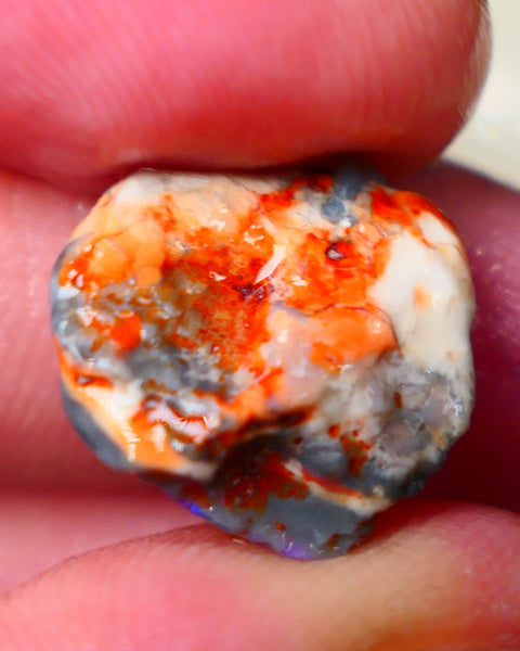 Lightning Ridge Untouched Witches Hat Knobby opal rough 8.25cts Tempting fires with nice blue tones showing through the skin 17x15x7mm Auciton187