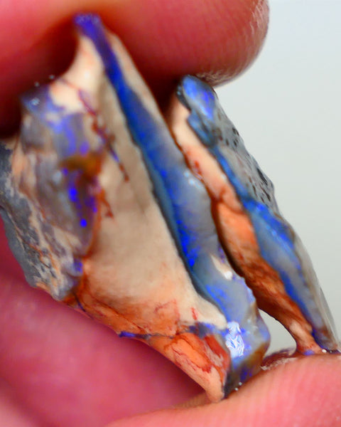 Lightning Ridge Dark base seam opals fresh from the mine walls 23.50cts Gorgeous Blue fires 28x14x10mm & 23x15x7mm Auction176