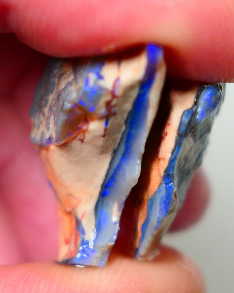 Lightning Ridge Dark base seam opals fresh from the mine walls 23.50cts Gorgeous Blue fires 28x14x10mm & 23x15x7mm Auction176