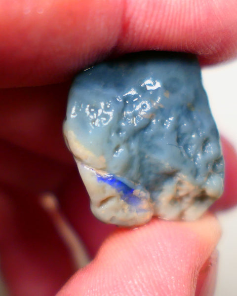 Lightning Ridge Dark base clipped knobby opal 26.00cts Bit of a bar of blue fires showing at one end sold as gamble 24x19x9mm Auction175