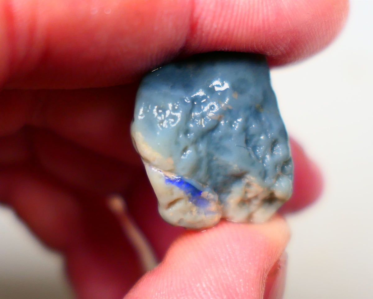 Lightning Ridge Dark base clipped knobby opal 26.00cts Bit of a bar of blue fires showing at one end sold as gamble 24x19x9mm Auction175