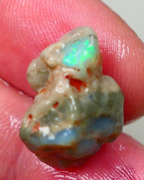 Lightning Ridge Dark base knobby opal formation 11.50cts Green/Blue fires showing sold as gamble 20x12x11mm Auction172