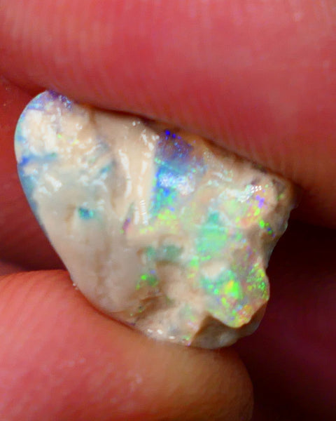 Lightning Ridge Knobby opal formation 3.45cts Gorgeous Multifires showing Sold as Gamble 14x11x4mm GMB-002