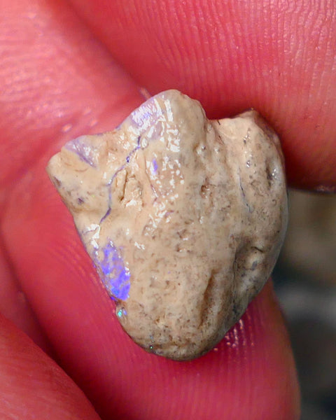 Lightning Ridge Opal formation rough 12.25cts Veins of gorgeous Green& blue fires to gamble  15x14x12mm GMB-062