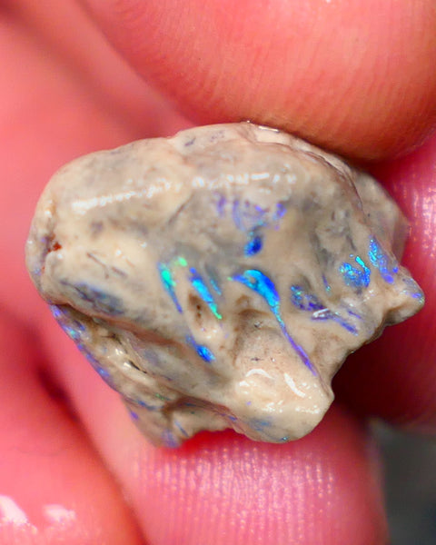 Lightning Ridge Opal formation rough 12.25cts Veins of gorgeous Green& blue fires to gamble  15x14x12mm GMB-062