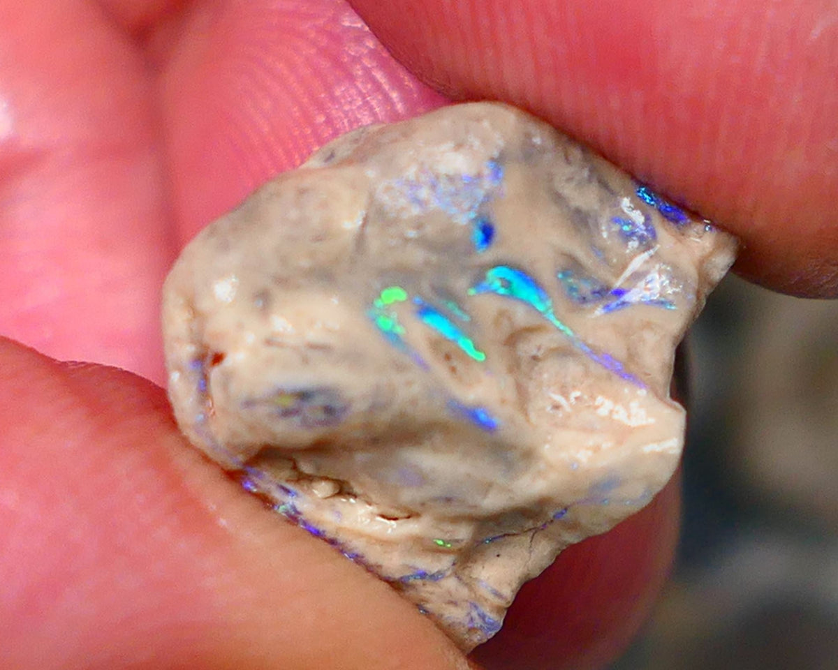 Lightning Ridge Opal formation rough 12.25cts Veins of gorgeous Green& blue fires to gamble  15x14x12mm GMB-062