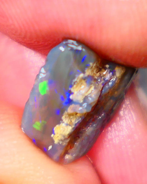 Lightning Ridge Dark Base Crystal Opalised wood fossil opal rough 3.00cts Green & Blue fire flashes  13x11x4mm GMB-061