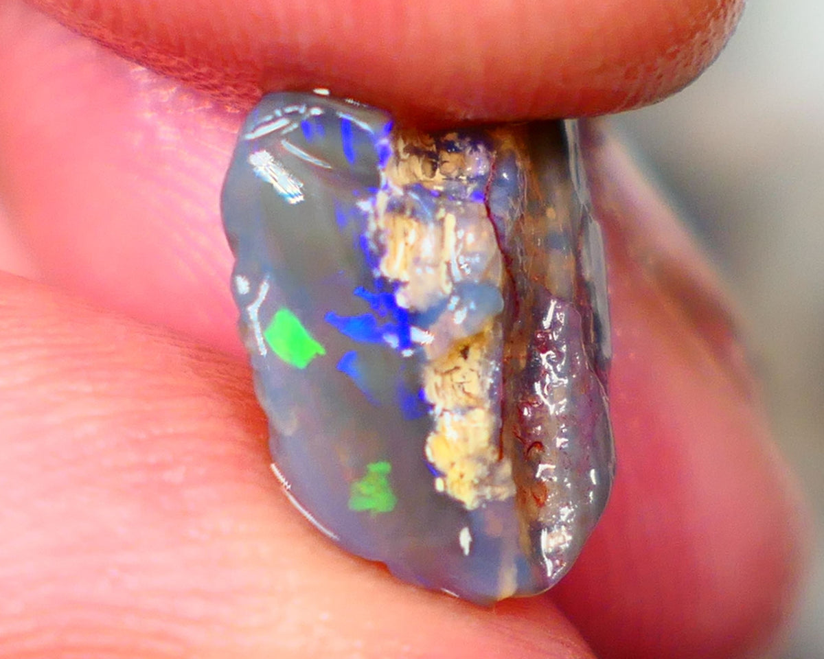 Lightning Ridge Dark Base Crystal Opalised wood fossil opal rough 3.00cts Green & Blue fire flashes  13x11x4mm GMB-061