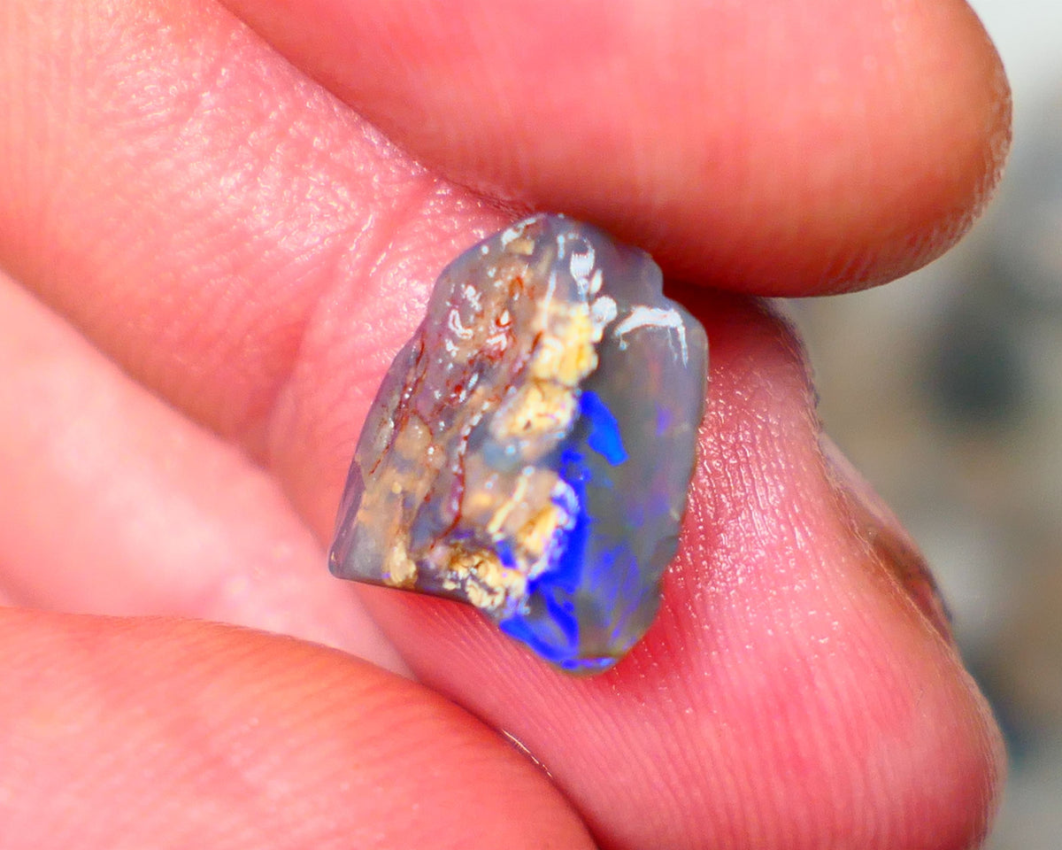 Lightning Ridge Dark Base Crystal Opalised wood fossil opal rough 3.00cts Green & Blue fire flashes  13x11x4mm GMB-061