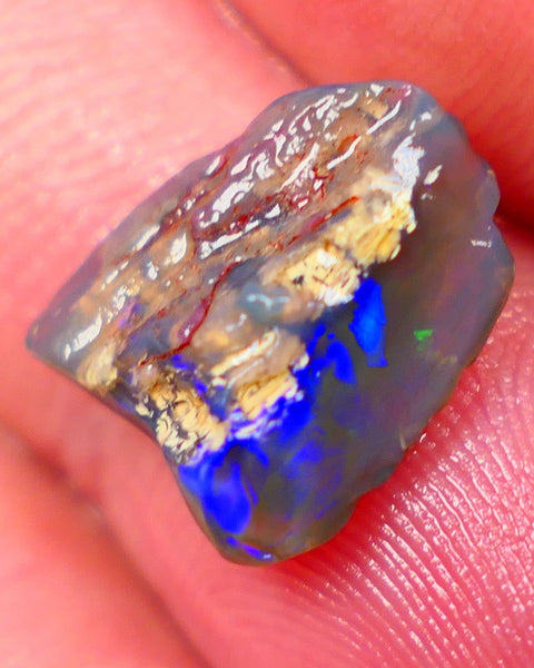 Lightning Ridge Dark Base Crystal Opalised wood fossil opal rough 3.00cts Green & Blue fire flashes  13x11x4mm GMB-061