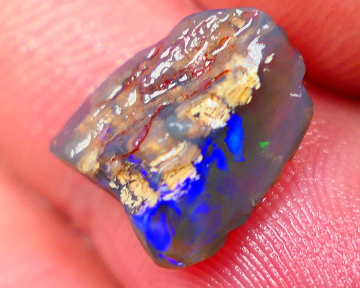 Lightning Ridge Dark Base Crystal Opalised wood fossil opal rough 3.00cts Green & Blue fire flashes  13x11x4mm GMB-061