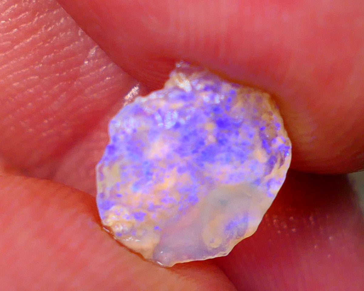 Lightning Ridge Thin Crystal Knobby opal rough 1.50cts Bright Light Blue fires 12x9x2mm GMB-058