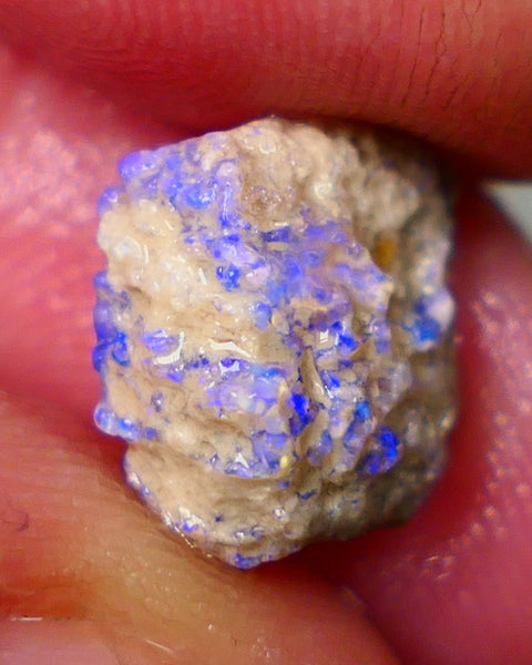 Lightning Ridge Untouched Crystal Base Knobby opal rough 3.40cts Bright blue dominant fires to carve or collect 11x10x6mm GMB-013