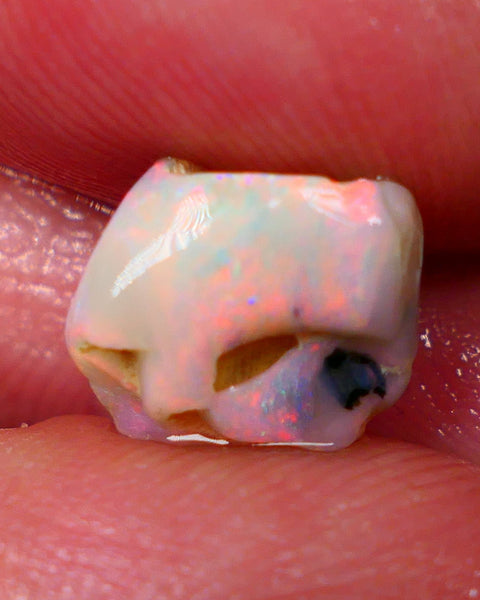 Lightning Ridge Light base knobby opal rub/rough 3.20cts Packing Orange dominant exposed Multifires 11x9x5mm GMB-026