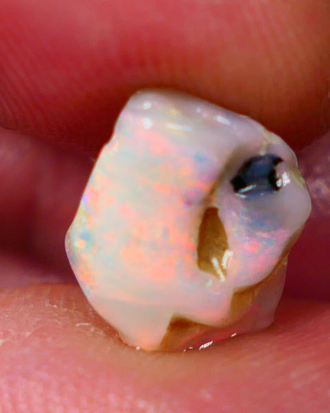 Lightning Ridge Light base knobby opal rub/rough 3.20cts Packing Orange dominant exposed Multifires 11x9x5mm GMB-026