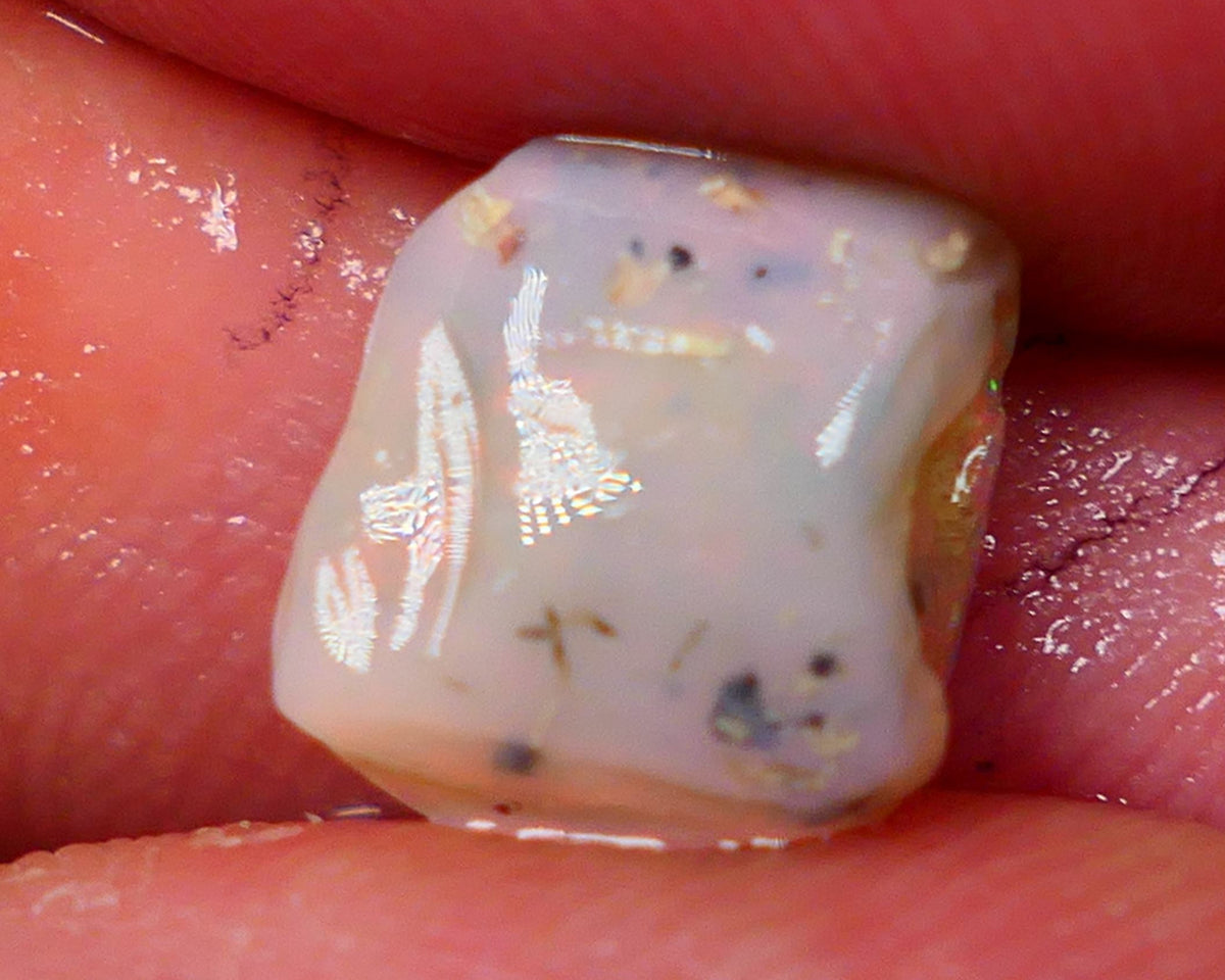 Lightning Ridge Light base knobby opal rub/rough 3.20cts Packing Orange dominant exposed Multifires 11x9x5mm GMB-026