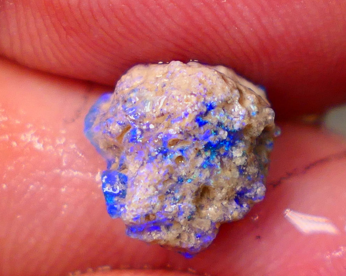 Lightning Ridge Untouched Dark base Crystal Pea Knobby opal rough 2.70cts Very Bright Vibrant Deep Royal Blue fires to gamble 10x10x6mm GMB-023