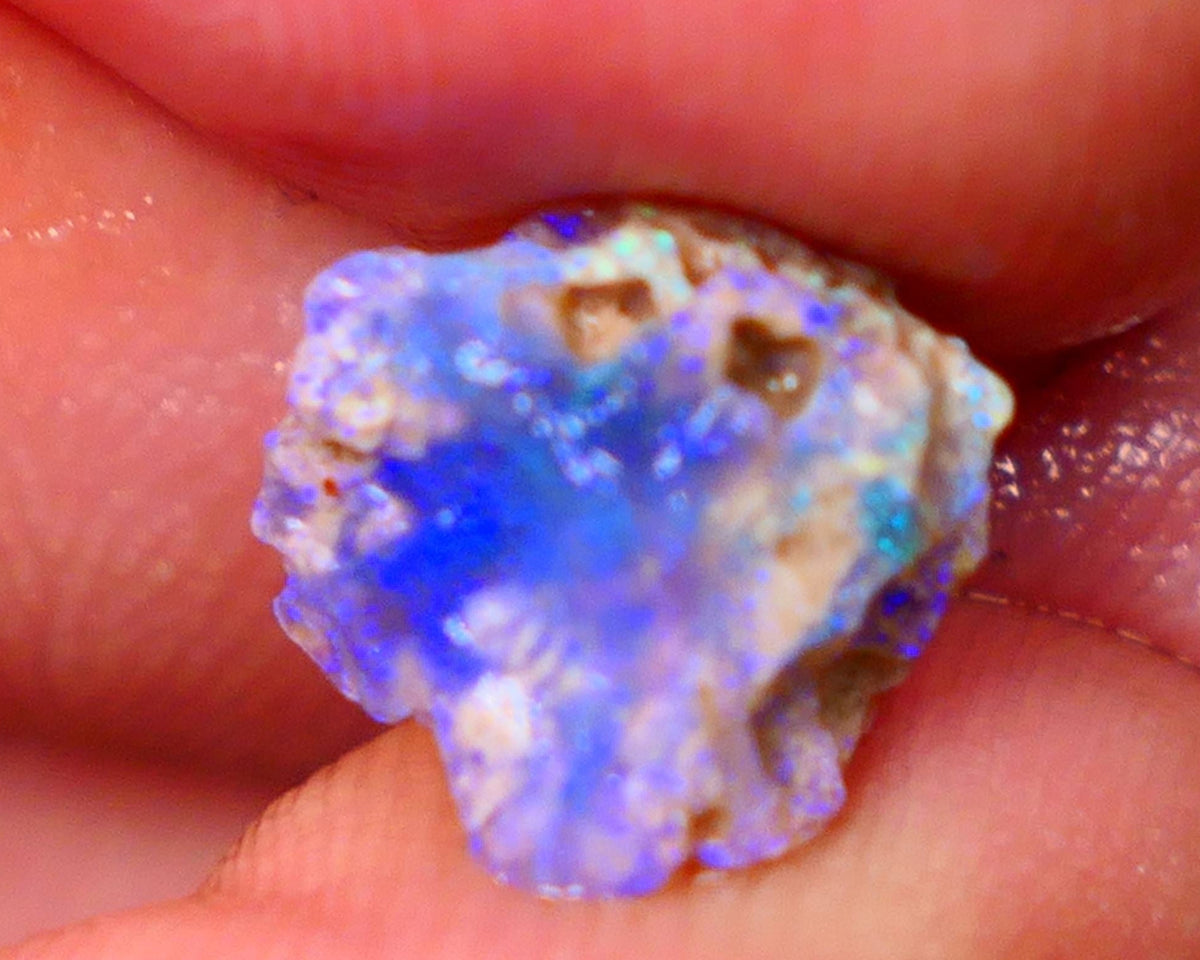 Lightning Ridge Untouched Dark base Crystal Pea Knobby opal rough 2.70cts Very Bright Vibrant Deep Royal Blue fires to gamble 10x10x6mm GMB-023