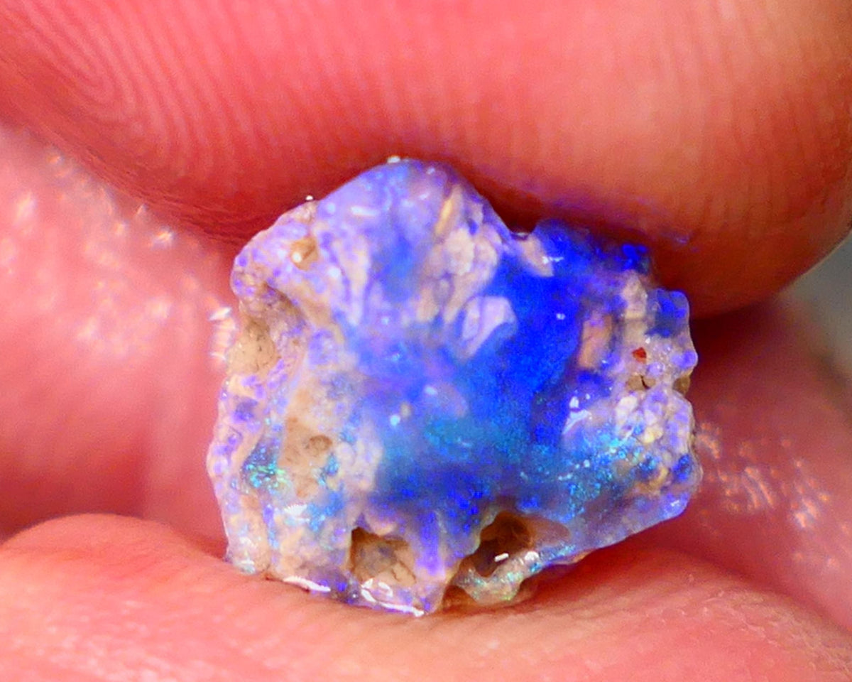 Lightning Ridge Untouched Dark base Crystal Pea Knobby opal rough 2.70cts Very Bright Vibrant Deep Royal Blue fires to gamble 10x10x6mm GMB-023