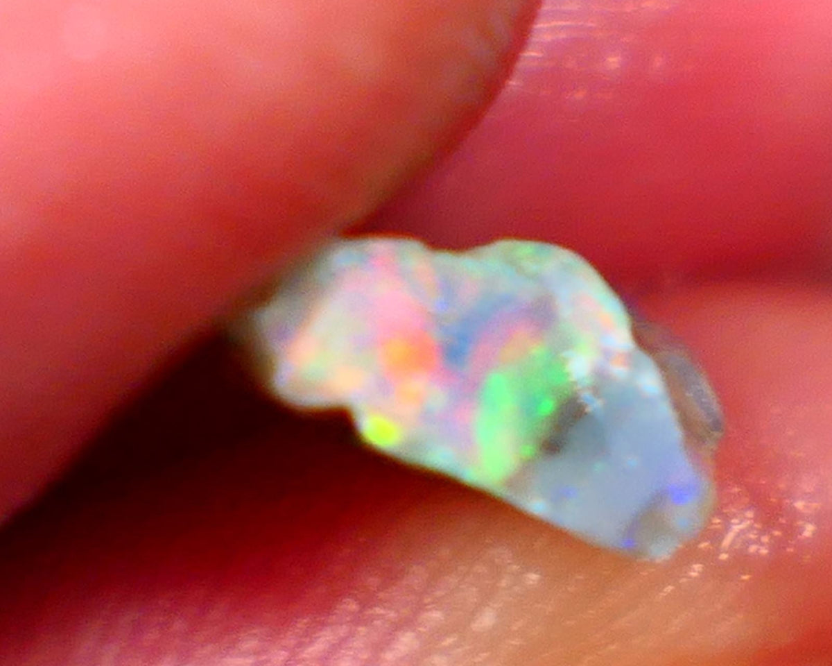 SEE VIDEO  Lightning Ridge Opalised Wood fossil rough opal 2.15cts Stunning Multicolours featuring oranges & Yellows 12x9x4mm GMB022