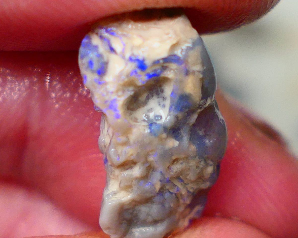 Lightning Ridge Dark Crystal knobby opal rough 7.00cts Bright Blue bar to expose sold as gamble 20x9x7mm GMB-048