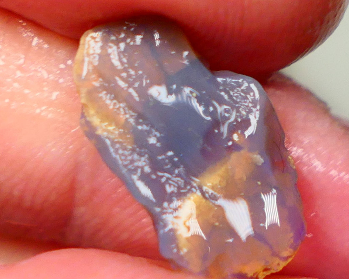 Lightning Ridge knobby opal formation rub/rough 3.00cts Displaying Bright Gorgeous blue fires 17x10x3mm  GMB-039