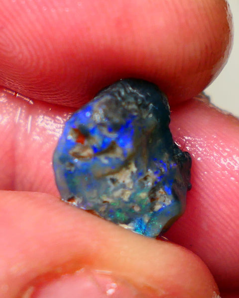 Lightning Ridge Dark Base knobby 4.00cts  Bright Blue colours to explore and gamble 12x8x7mm GMB-034