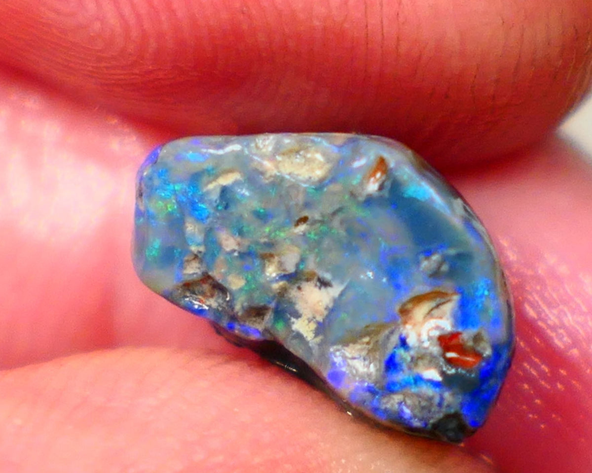 Lightning Ridge Dark Base knobby 4.00cts  Bright Blue colours to explore and gamble 12x8x7mm GMB-034