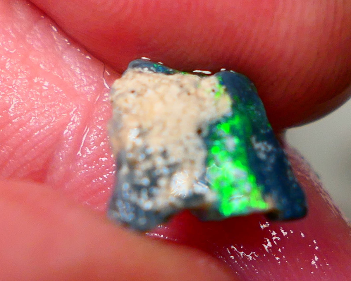 Lightning Ridge Black opal Fossil Rough 2.00cts Stunning Gorgeous Bright Green Dominant Multifires 11x10x4mm GMB-033