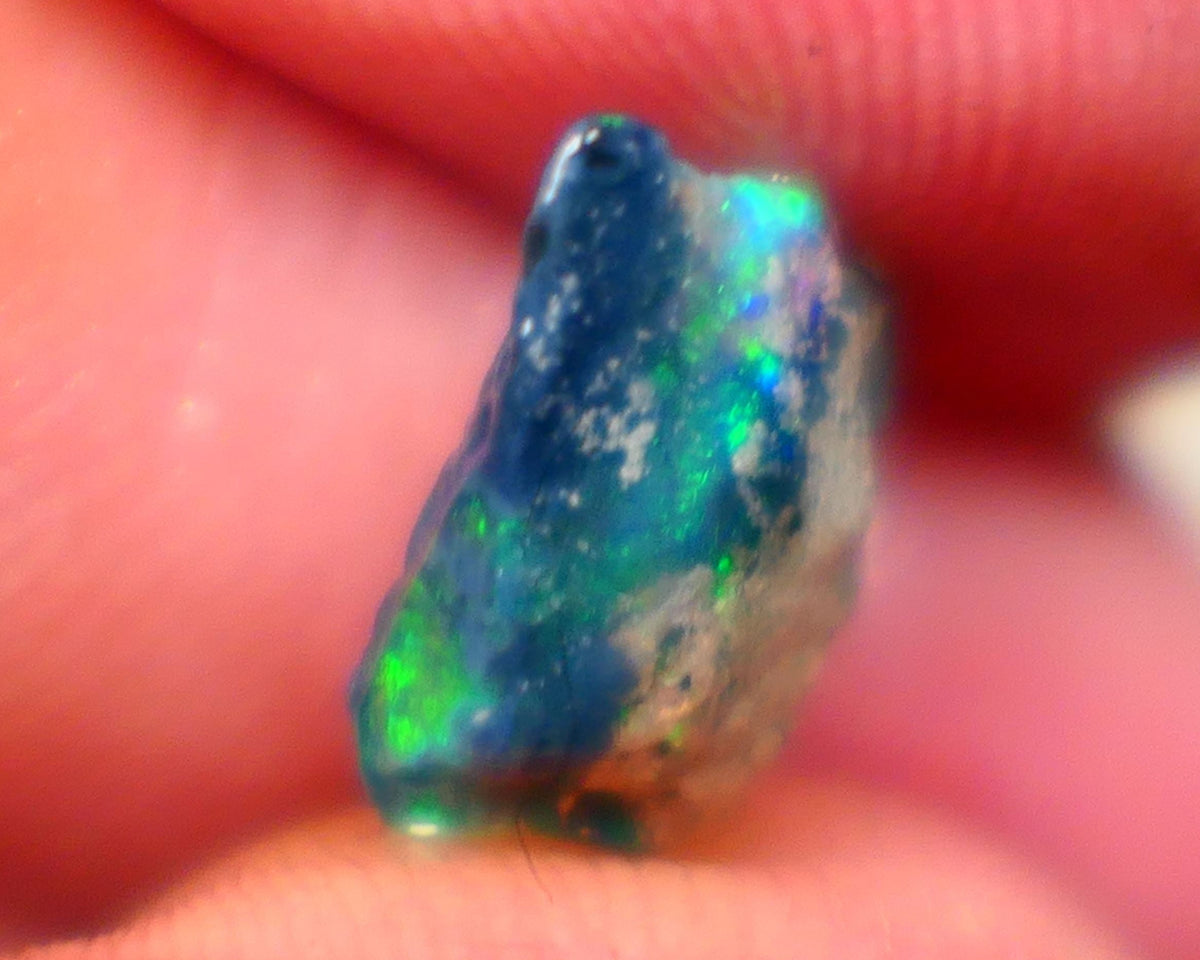 Lightning Ridge Black opal Fossil Rough 2.00cts Stunning Gorgeous Bright Green Dominant Multifires 11x10x4mm GMB-033