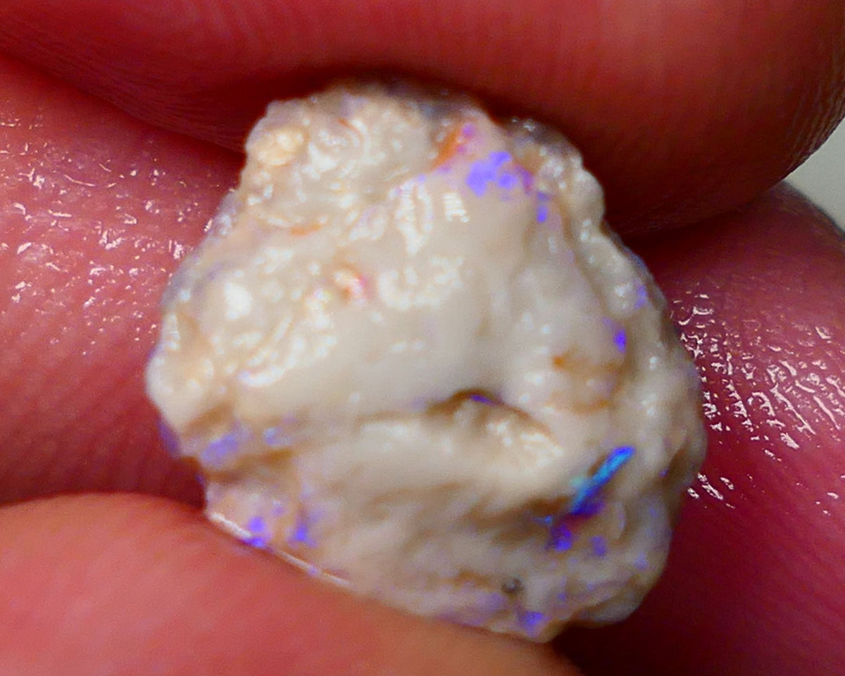 Lightning Ridge Untouched Light base knobby rough opal 3.75cts Blues showing through the skin 14x12x5mm Gamble GMB-031