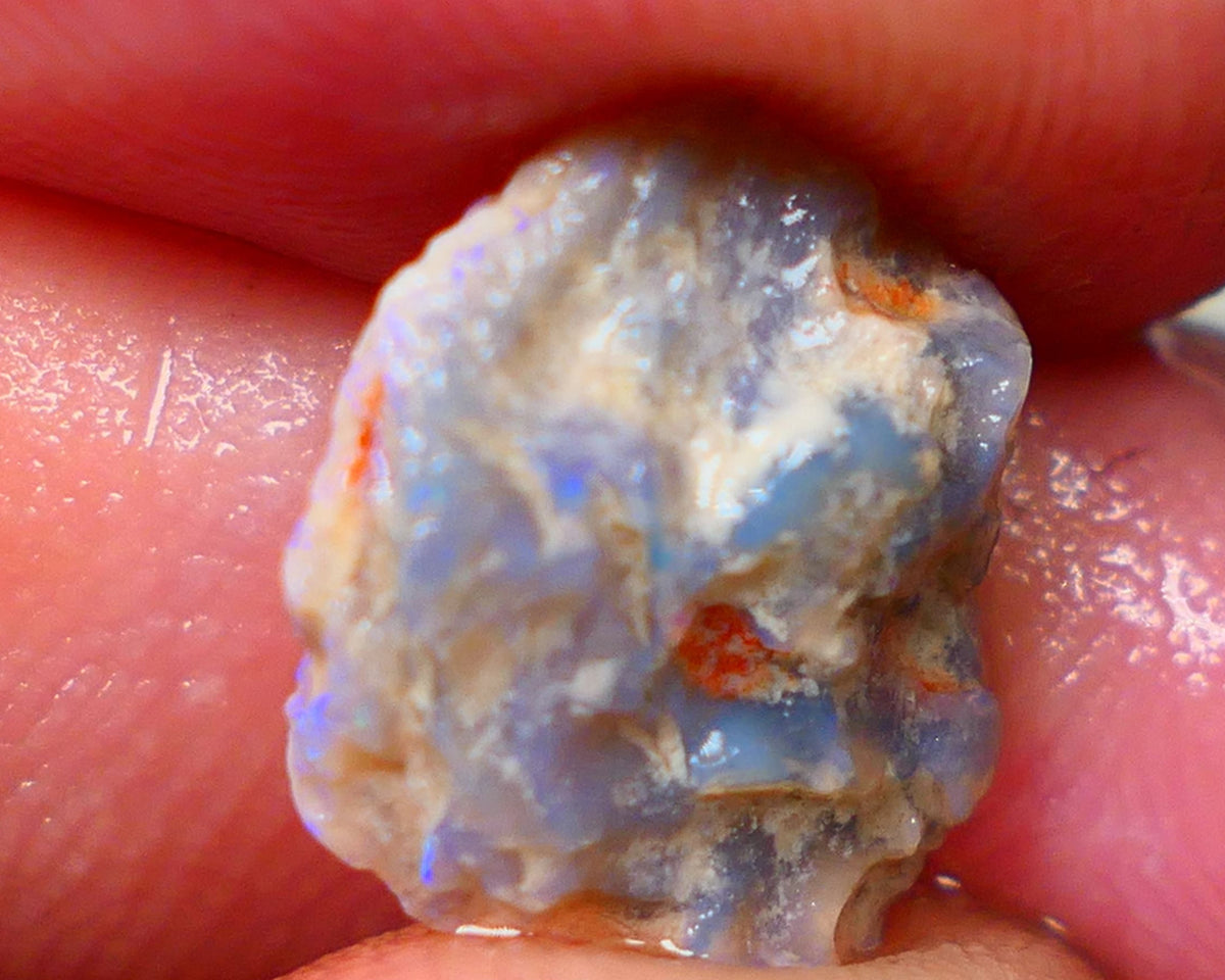 Lightning Ridge Untouched Light base knobby rough opal 3.75cts Blues showing through the skin 14x12x5mm Gamble GMB-031