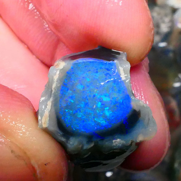 Big Sized Lightning Ridge Gem Dark Crystal base (semi Black) Knobby split 44.00cts Stunning Super Bright Green & blue dominant M.fires Gorgeous Confetti patterns  24x16x13mm & 23x18x15mm NSW103