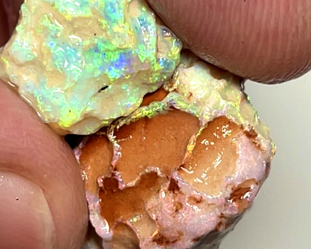 Lightning Ridge 18cts Nice pair of Dark base Crystal Opal formations rough to cut/carve or Collect Gorgeous Bright Multicolours  18x15x8mm & 14x11x4mm 1004