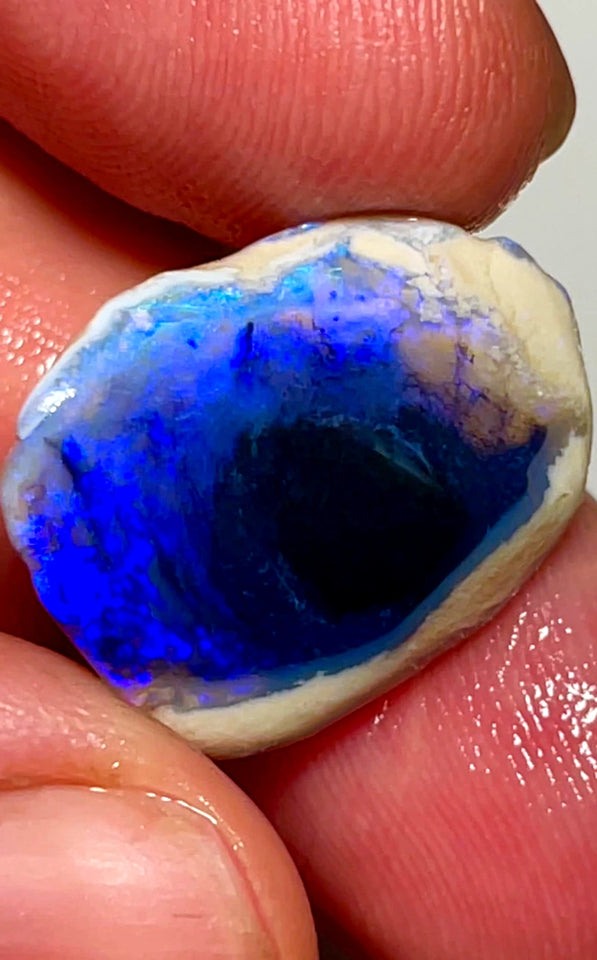 Lightning Ridge Rough / Rub Blue on Black Crystal Knobby opal Miners Bench® 12.5cts Gorgeous Bright Blues 21x17x5mm WAC27