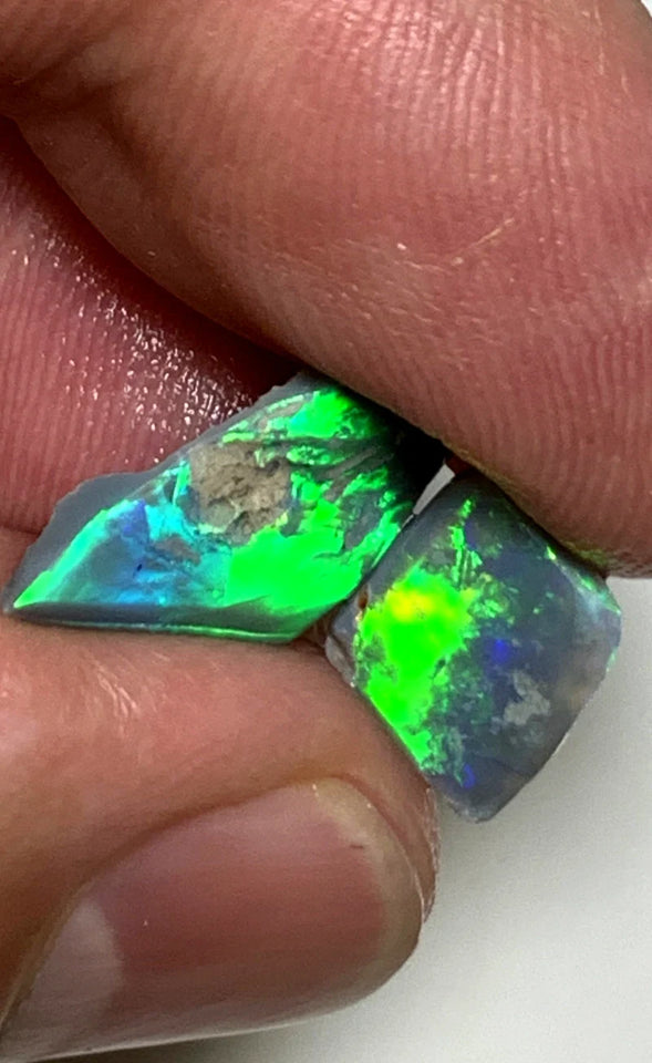 Opal Fever Mate Auction