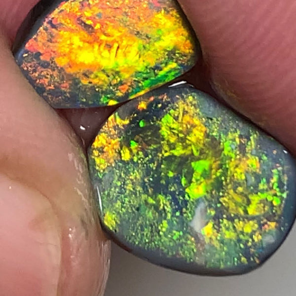 Lightning Ridge Rough / Rub Black opal Pair Miners Bench®  2.2cts Exotic Super Bright Vibrant & Vivid Multifires  11x8x1mm & 9x6x1mm WSU52