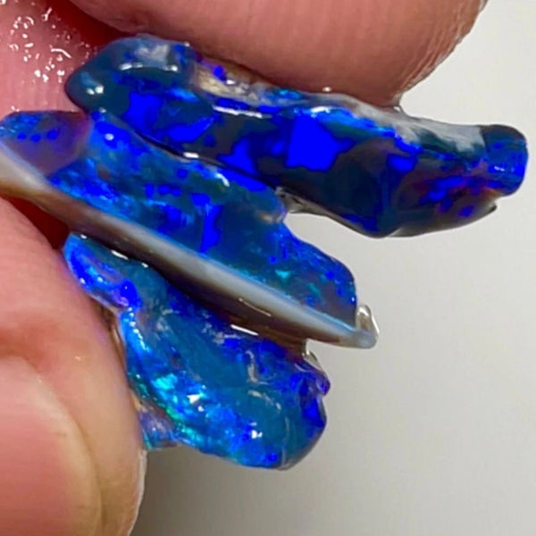 Lightning Ridge Little Gem Blue on Black Candy's 2 cut 8.75cts Bright Vibrant & gorgeous deep hues/tones of blue 18x11x4 to 11x8x5 mm NSW041