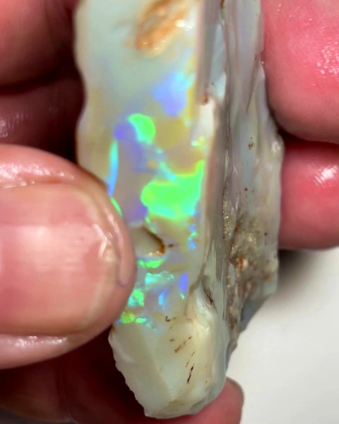 Lightning Ridge Rough / Rub Giant Dark Base Seam opal Miners Bench® 185cts Gorgeous Bright Multifires  65x35x11mm WAC06