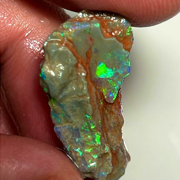 Lightning Ridge Opal Rough Untouched Dark Crystal Base Seam Formation 9.25ts Stunning Bright Multicolour 27x14x4mm WAE32