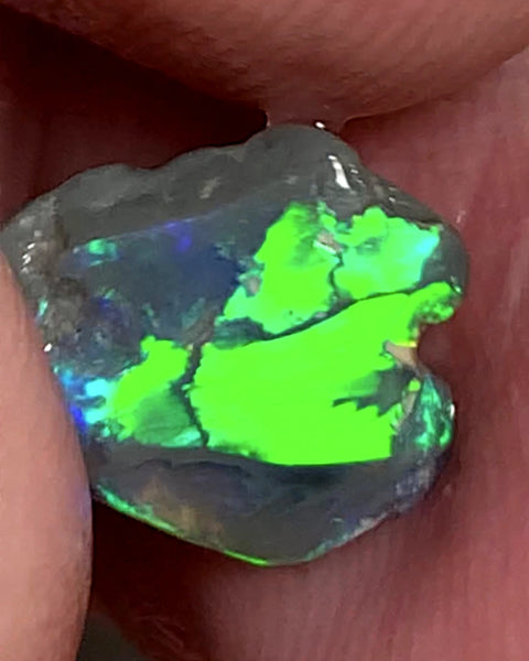 Lightning Ridge Miners Bench® Little Knobby Opal Rub Gorgeous Dark Base Rough / Rub 1.45cts Vibrant & Bright Multifires broad pattern 10x10x2.5mm WAA49