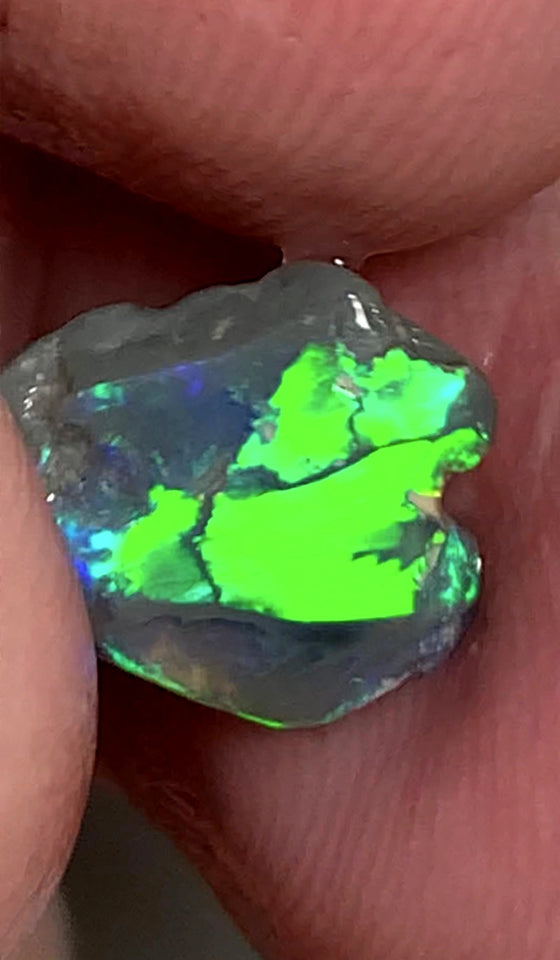 Lightning Ridge Miners Bench® Little Knobby Opal Rub Gorgeous Dark Base Rough / Rub 1.45cts Vibrant & Bright Multifires broad pattern 10x10x2.5mm WAA49