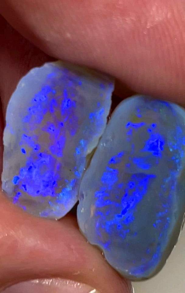 Lightning Ridge Rough Knobby Opal split pair 16.5cts Cutters Dark Stunning bright Blue fires to cut 20x9x7mm 18x10x9mm WAC17