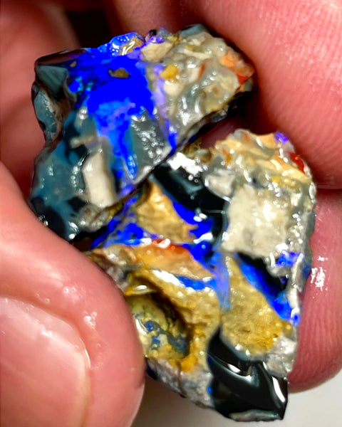 Lightning Ridge Rough Opal 43cts Big size Black Knobby Split showing bars with lots of blues 21x20x15 & 21x19x13 mm WAE41