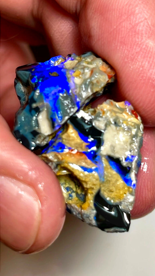 Lightning Ridge Rough Opal 43cts Big size Black Knobby Split showing bars with lots of blues 21x20x15 & 21x19x13 mm WAE41