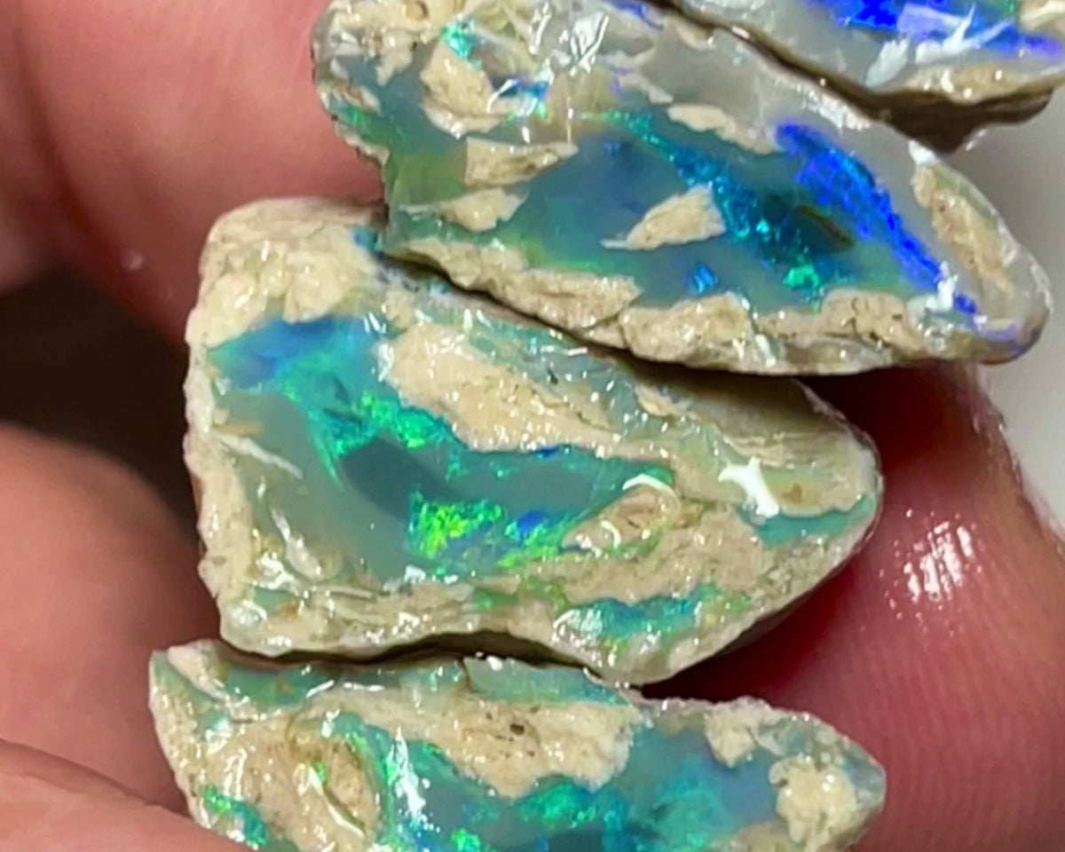 Lightning Ridge knobby opal rough 2 pairs of splits 59.00cts Gorgeous Green Blue dominant Multicolours to cut 23x15x12 to 20x12x8mm NSW089