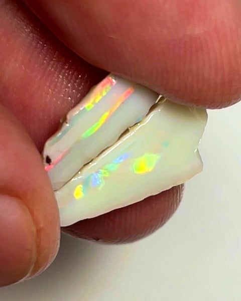 Lightning Ridge Rough Opal 6.5cts Cutters Pair Stunning Light Base High Grade Bright Multifires  18x8x5 & 12x8x4 mm WAE26