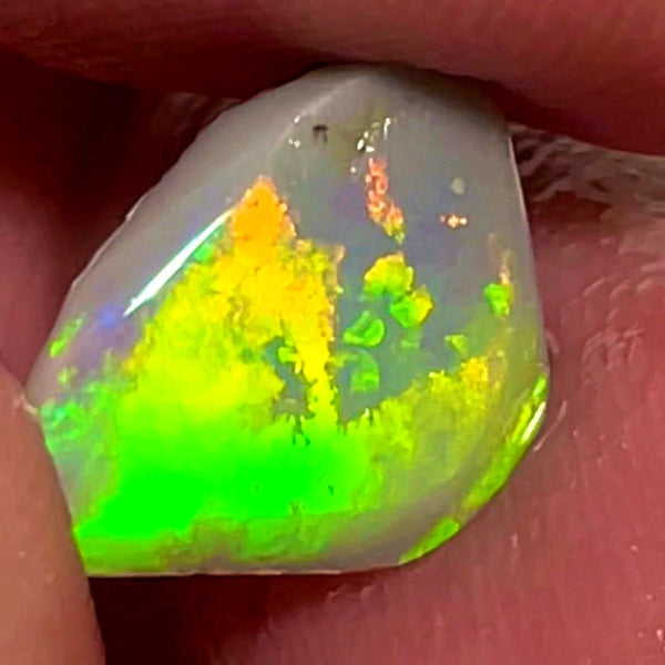 Lightning Ridge Rough / Rub /Preform Dark Base opal Miners Bench® 2cts Saturation of Vivid Bright Multifires 12x11x2mm WAC13